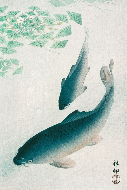 Carp or KoiÔøΩ_ Poster Print by Ohara Koson # 55287