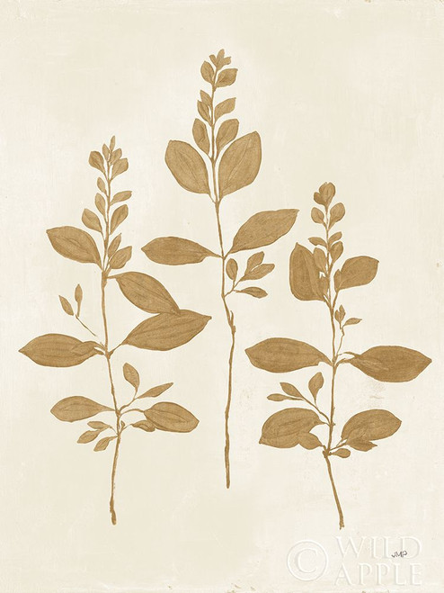 Botanical Study IV Gold Crop Poster Print by Julia Purinton # 54314