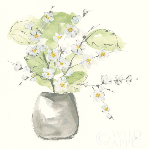 Plant Blossom I Poster Print by Chris Paschke # 55021