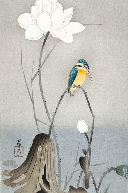 Kingfisher with Lotus Flower Poster Print by Ohara Koson # 54982
