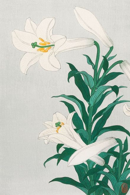 Lilies, Ohara Poster Print by Ohara Koson # 54984