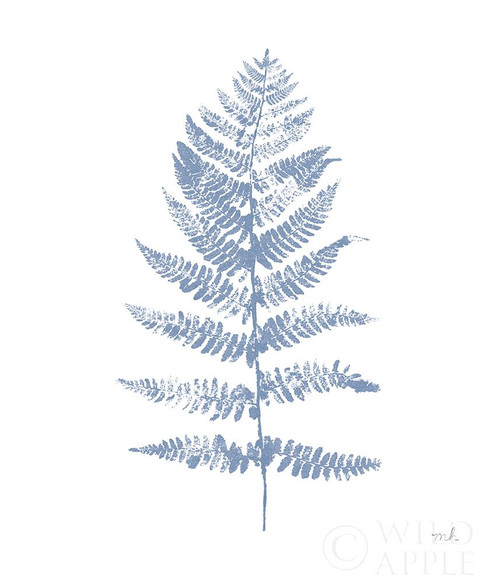 Fern Print II Blue No Shiplap Poster Print by Moira Hershey # 54079