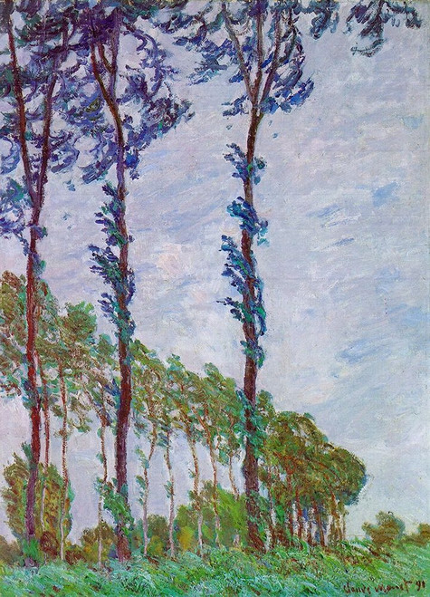 Poplars Poster Print by Claude Monet # 53115