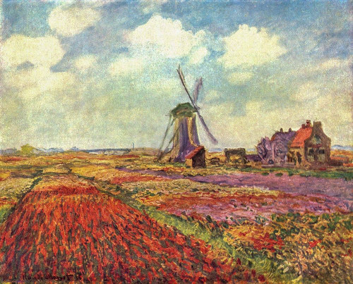 Tulip Field Poster Print by Claude Monet # 53103