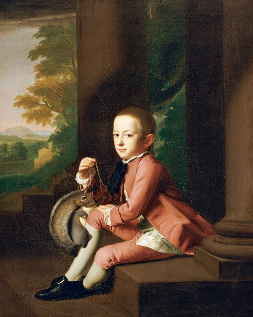 Daniel Crommelin Verplanck Poster Print by Copley,ÔøΩ_John Singleton Copley # 52896