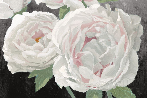 Essence of June II Black Poster Print by James Wiens # 52074