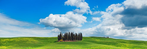 Cypresses- Val dOrcia- Tuscany Poster Print by Frank Krahmer # 4FK5190
