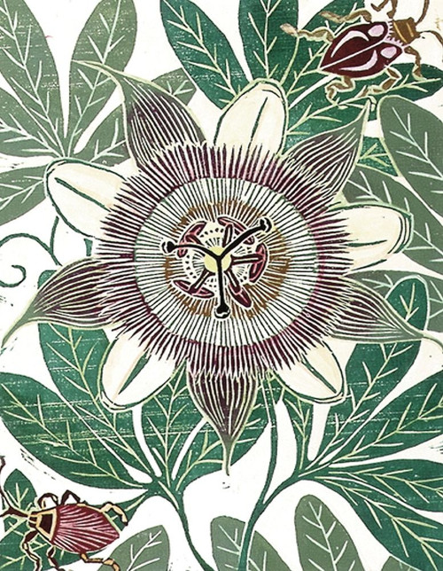 Poppy II Poster Print by Unknown Unknown # 4741