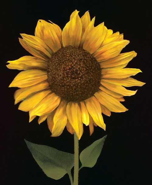 Sunflower I Poster Print by Unknown Unknown # 4673