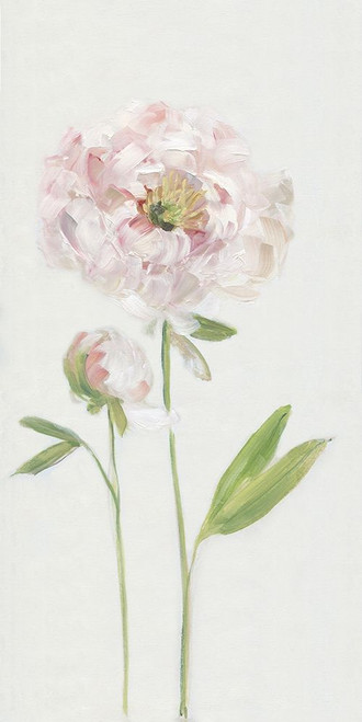 Single Stem Peony I Poster Print by Sally Swatland # 42688