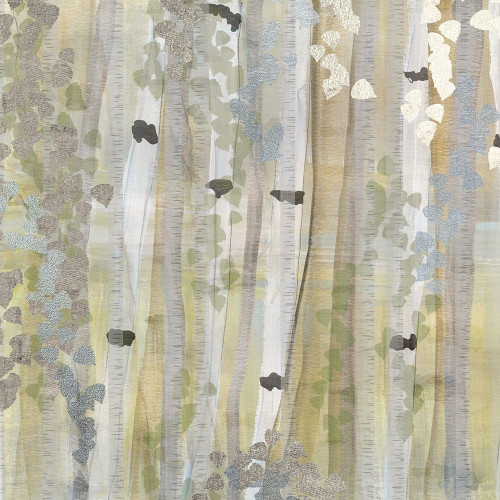 Spring Birch Grove I Poster Print by Susan Jill # 42522