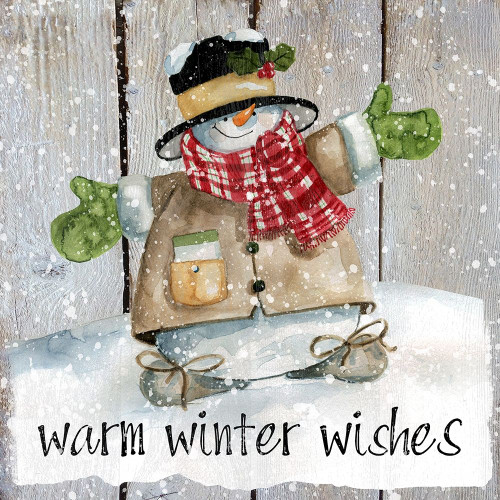 Winter Wishes Snowman Poster Print by Carol Robinson # 42413