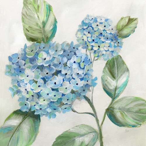 Hydrangea Beauty II Poster Print by Nan Nan # 42574
