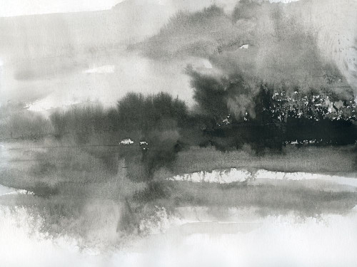 Lake Drama I Poster Print by Carol Robinson # 42592