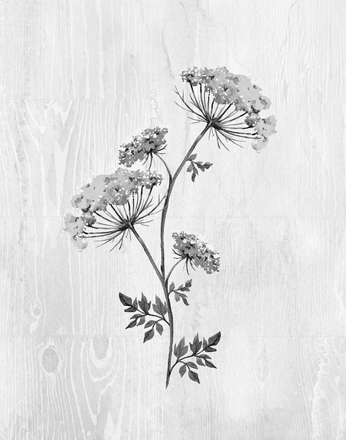 Neutral Meadow III Poster Print by Conrad Knutsen # 42348