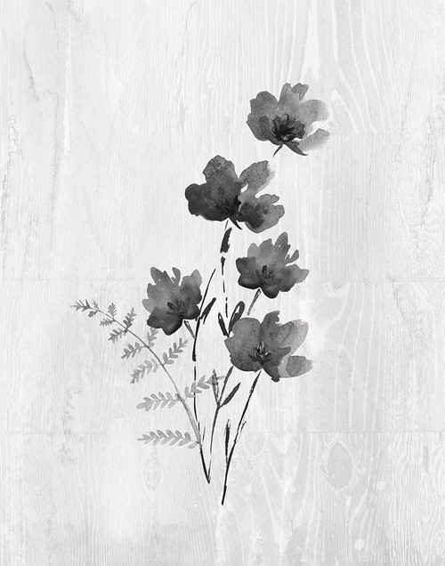 Neutral Meadow IV Poster Print by Conrad Knutsen # 42349