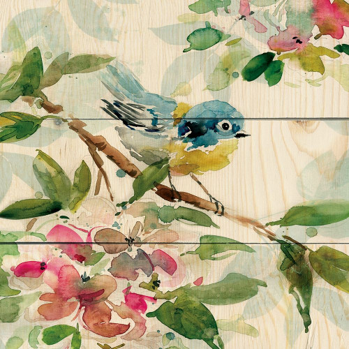Birds and Blossoms I Poster Print by Carol Robinson # 41941