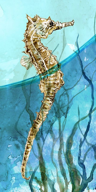 Delray Seahorse I Poster Print by Carol Robinson # 41877