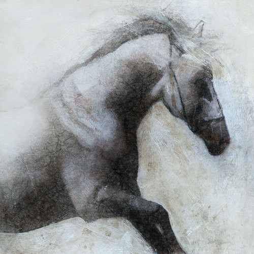 Misted Shadows Poster Print by Carol Robinson # 42214