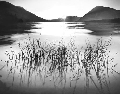 Whisper Lake Poster Print by Charles Gurche # 41911