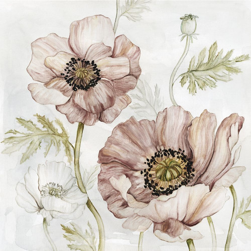 Washed Botanical IV Poster Print by Carol Robinson # 40822