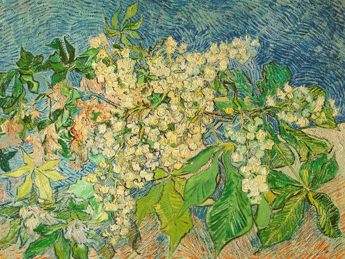 Blossoming Chestnut Branch Poster Print by Vincent van Gogh # 3VG5109