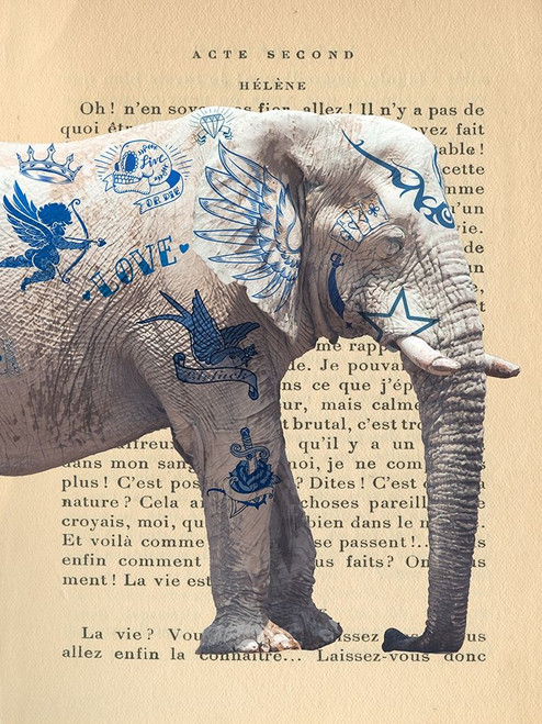 Tattooed Savannah I Poster Print by Steven Hill # 3SH5062