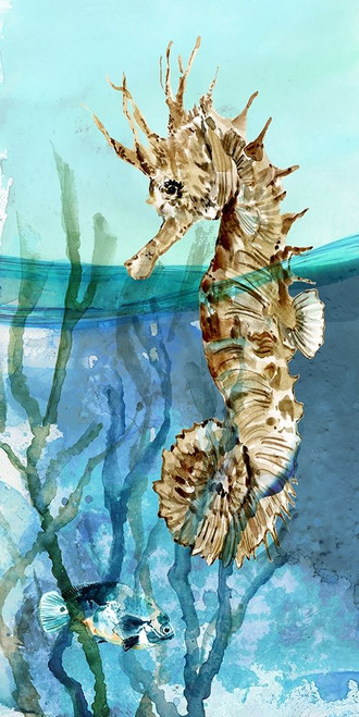 Pacific Seahorse Poster Print by Carol Robinson # 41439