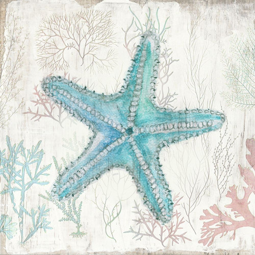 Coral and Shell III Poster Print by Tava Studios Tava Studios # 41486