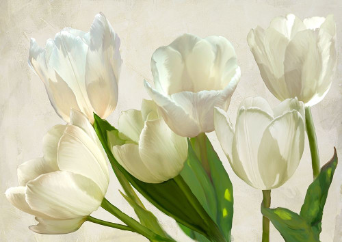 White Tulips Poster Print by Luca Villa # 3LC5328