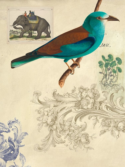 Cabinet of Curiosities n 2 Poster Print by Joannoo Joannoo  # 3JO5333