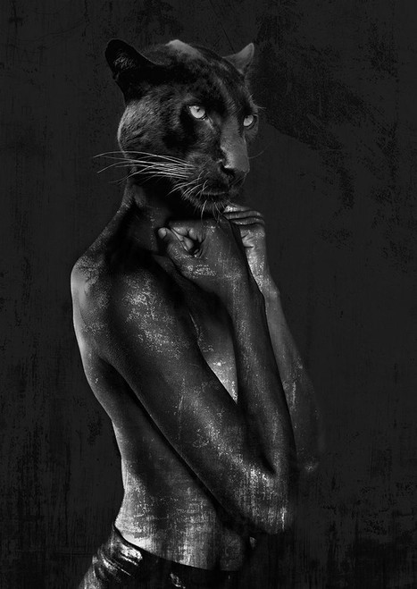 Black Chick Poster Print by VizLab VizLab # 3AP5172