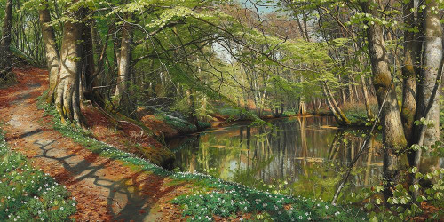 A spring day in the forest Poster Print by Peder Mork Monsted # 2AA5230