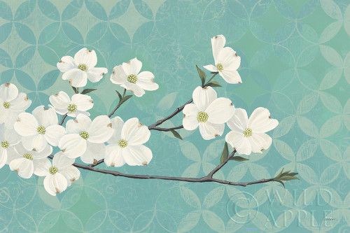 Dogwood Blossoms Poster Print by Kathrine Lovell # 21523