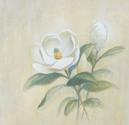 White Flower Poster Print by Unknown Unknown # 21440