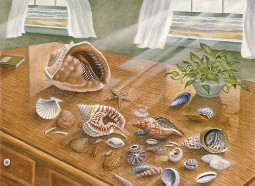 Seashells II Poster Print by Unknown Unknown # 22691