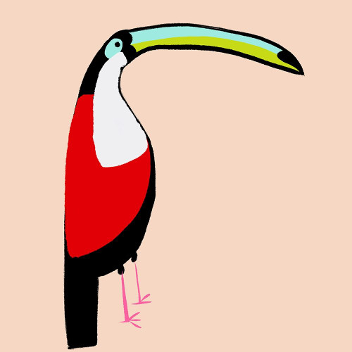 Abstract Toucan Poster Print by Susan Bryant # 15986