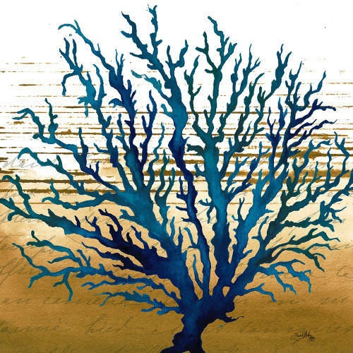 Coastal Blue II Poster Print by Elizabeth Medley # 15967