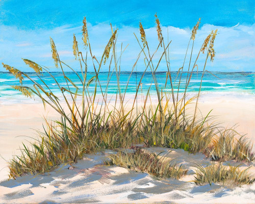 Beach Grass Poster Print by Julie DeRice # 15937
