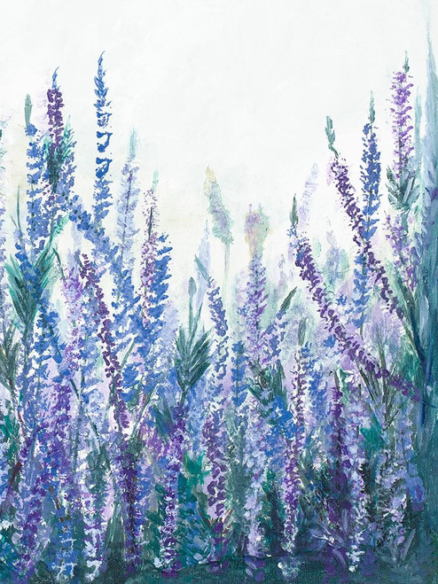 Lavender Garden II Poster Print by Patricia Pinto # 15912B