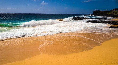 Oahu Shore Waves Poster Print by Bill Carson Photography Bill Carson Photography # 15711C
