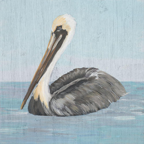Pelican Wash I Poster Print by Julie DeRice # 15118