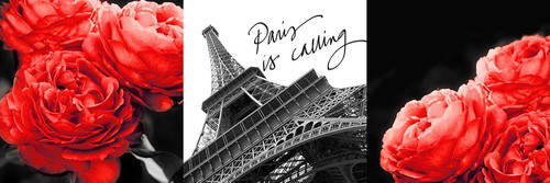 Eiffel Tower Red Roses Poster Print by Emily Navas # 11963FC