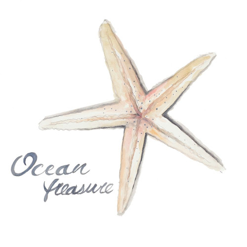 Ocean Treasure Starfish Poster Print by Patricia Pinto # 14671