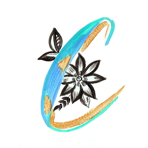 Monogram C Poster Print by Ani Del Sol # 14352B