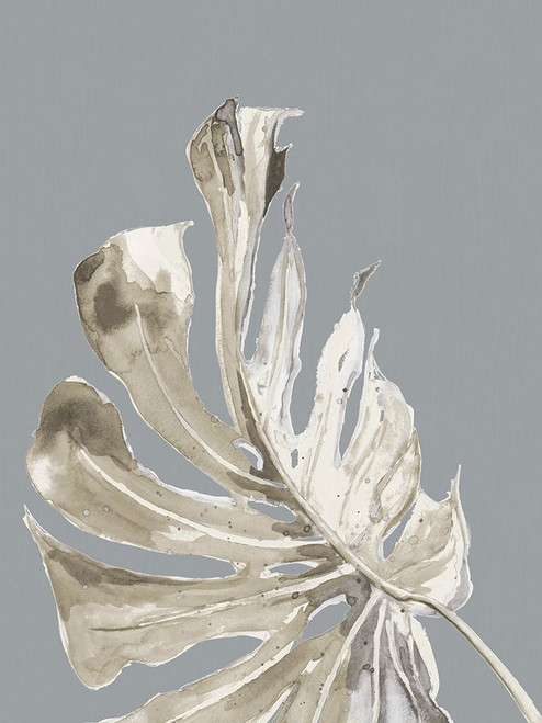 La Naturaleza on Gray II Poster Print by Patricia Pinto # 14333AB