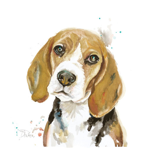 Watercolor Beagle Poster Print by Patricia Pinto # 14268G