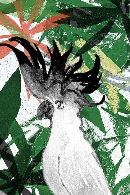 Hidden Cockatoo Poster Print by Elizabeth Medley # 13969AB