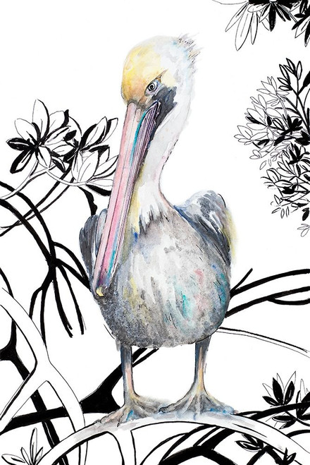 Pelican on Branch I Poster Print by Patricia Pinto # 13579