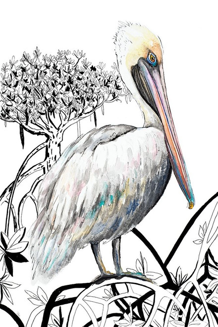 Pelican on Branch II Poster Print by Patricia Pinto # 13580